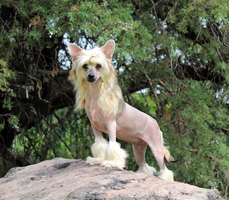 Flora Once Upon A Time (Cantarell)