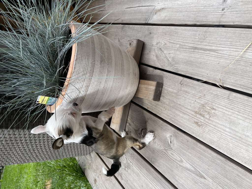 Cute Heartbreakers Anastasia Look Love