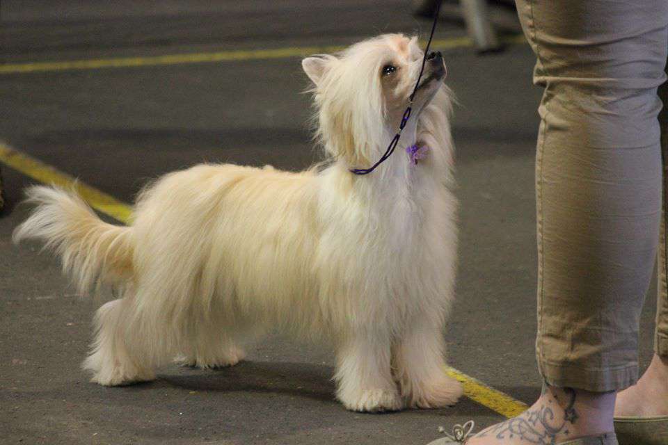 Call me All about me