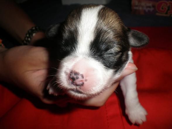 Lucky Line's It's A Privat Emotion