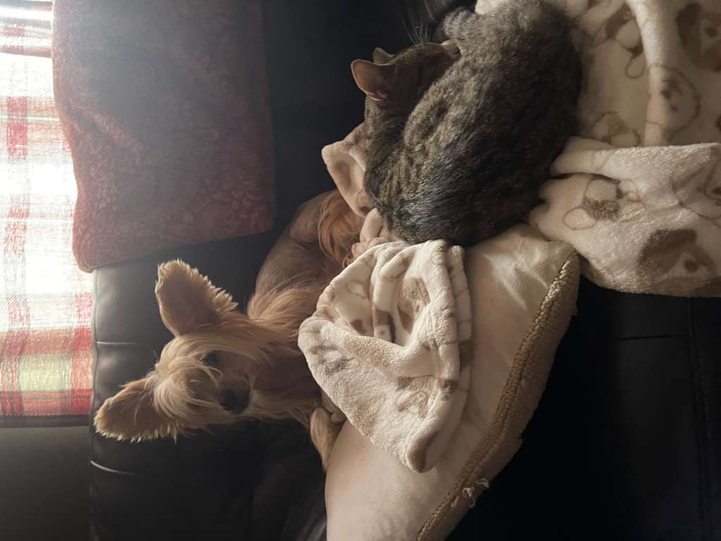 EverCrest's Heaven Sent