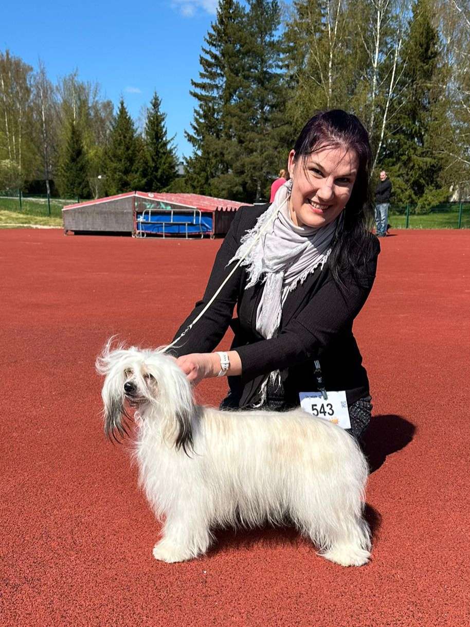 Joyway's Be My Sunshine