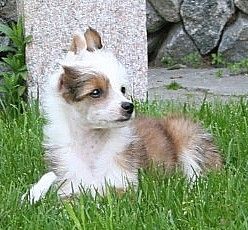 Reject's Nine to Five