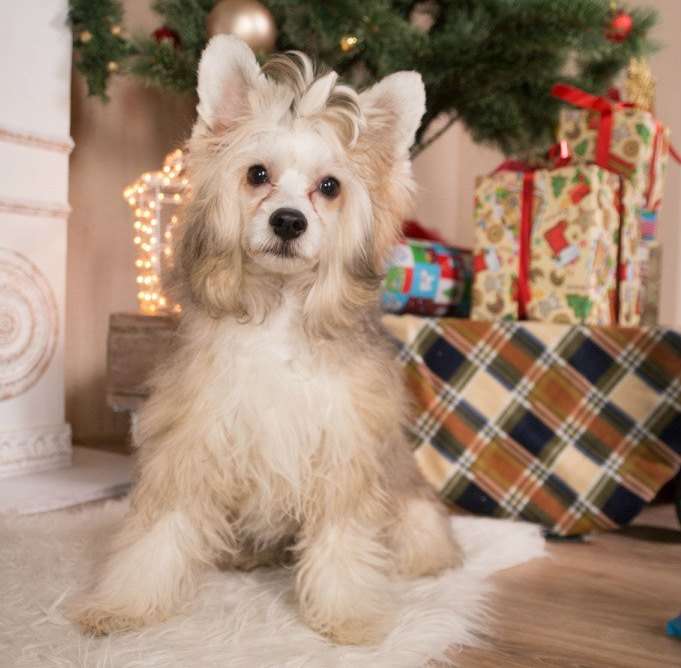 Sofiris Show Watching Me