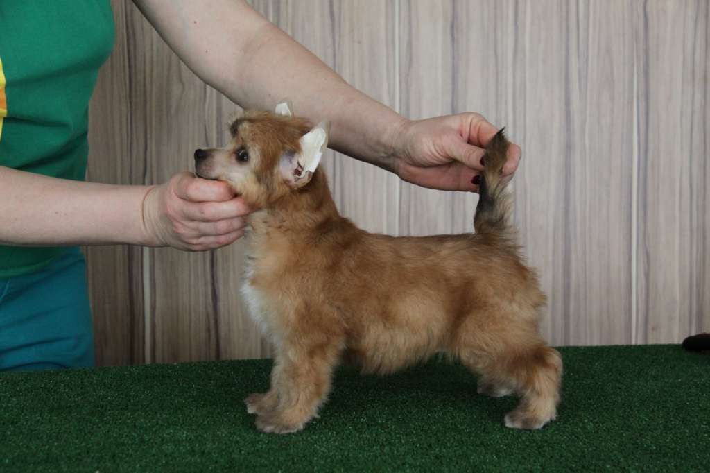 Zheneva-Debjut PLAYA