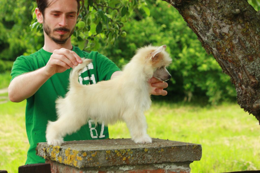 Tajne Przez Poufne Next Germanika