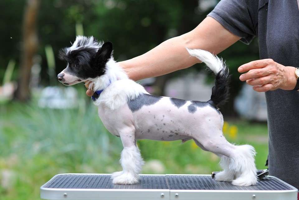 Kranar Ride the Wild Wind