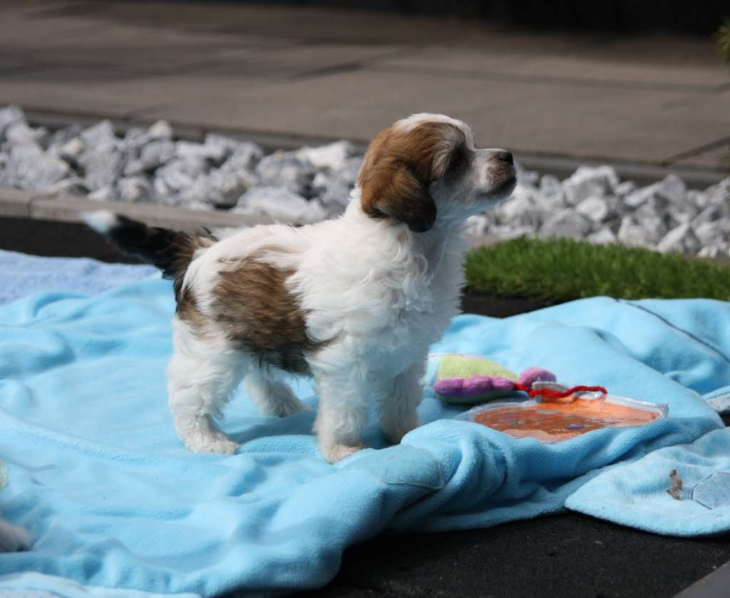 See You Around of Angel's Legacy