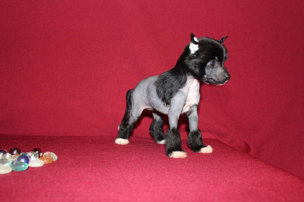 Charuyuschiy Soblazn Romance for me