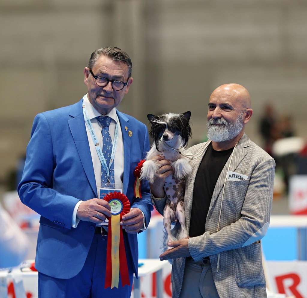 JCh. Chic To Chic Charlotte