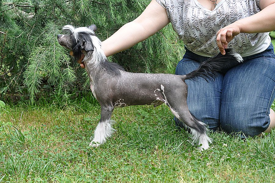 Poker Face Iz Ordena Ekate-Riny