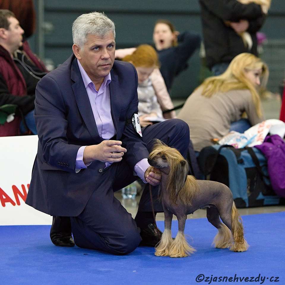 Zholesk Call Her Katana