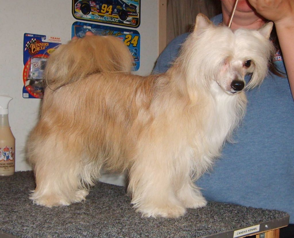 Little Big Man  We-B