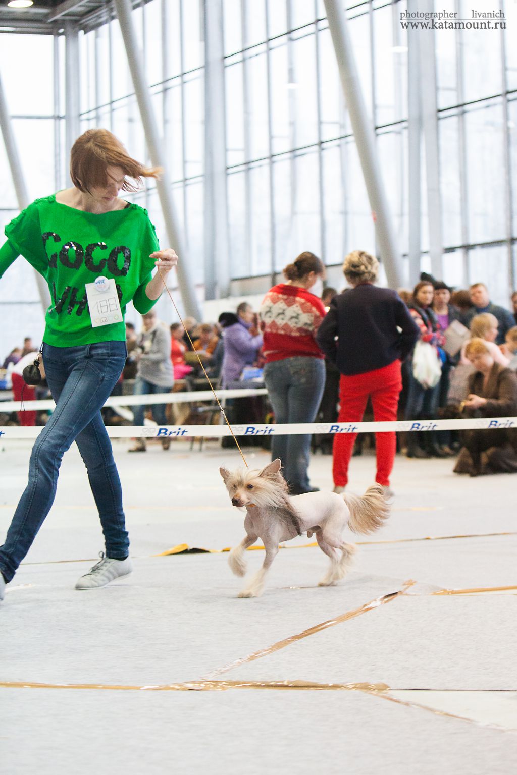 Gallaktik Demir Stasik