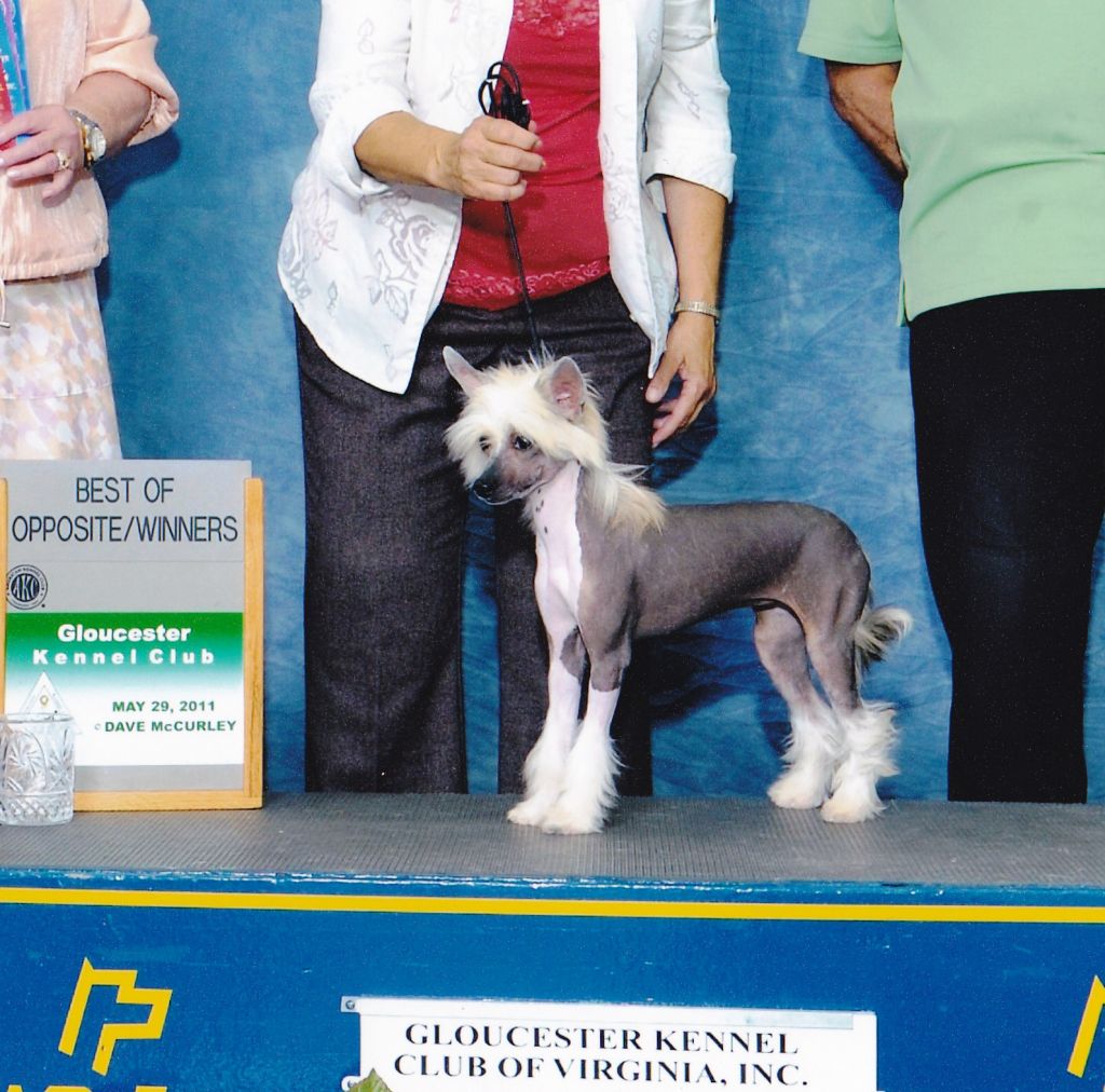 Diva's Sweet Revenge