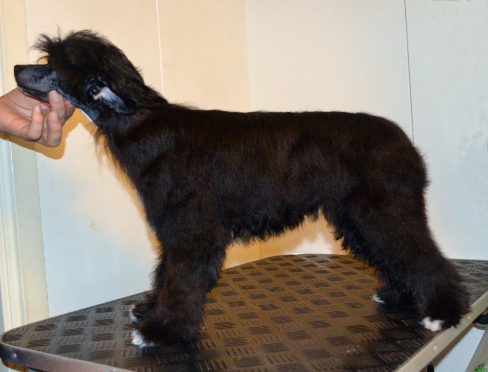 Stormblåstens Black Summer Rain