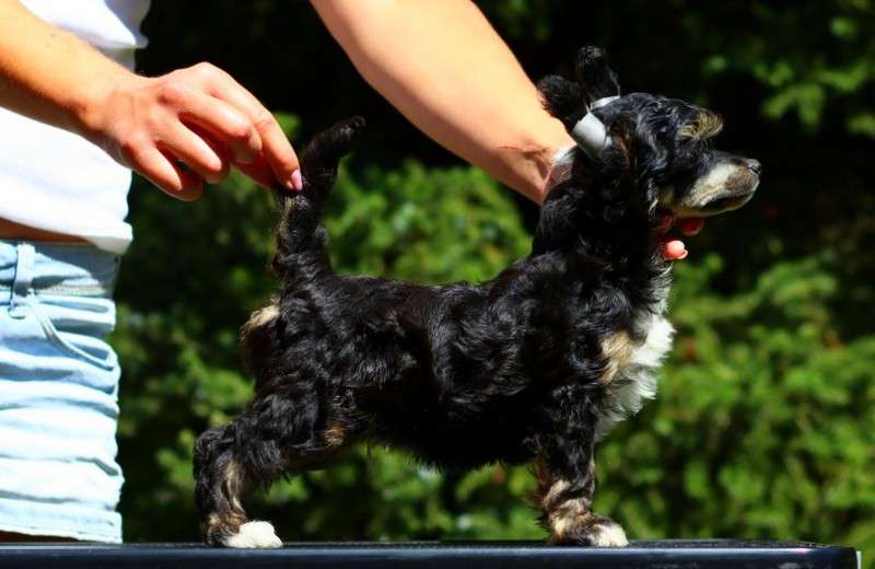 Breaking Bad Gattaca