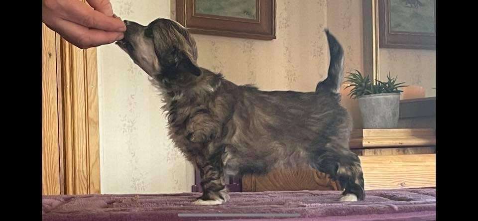 Nomilas Obsessed First Lady