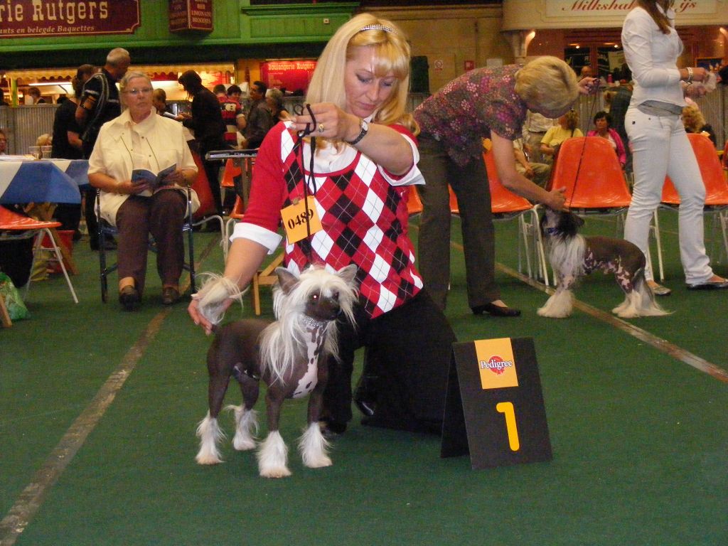 hayabusa little champs