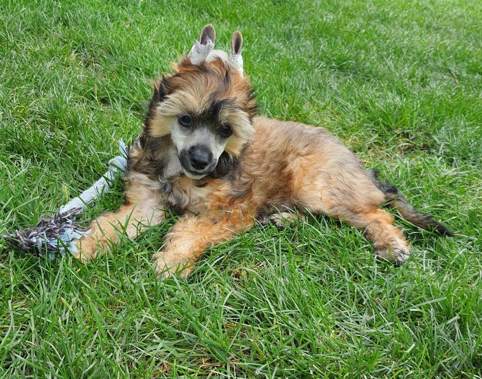 Mona Lisa Caramella's Family