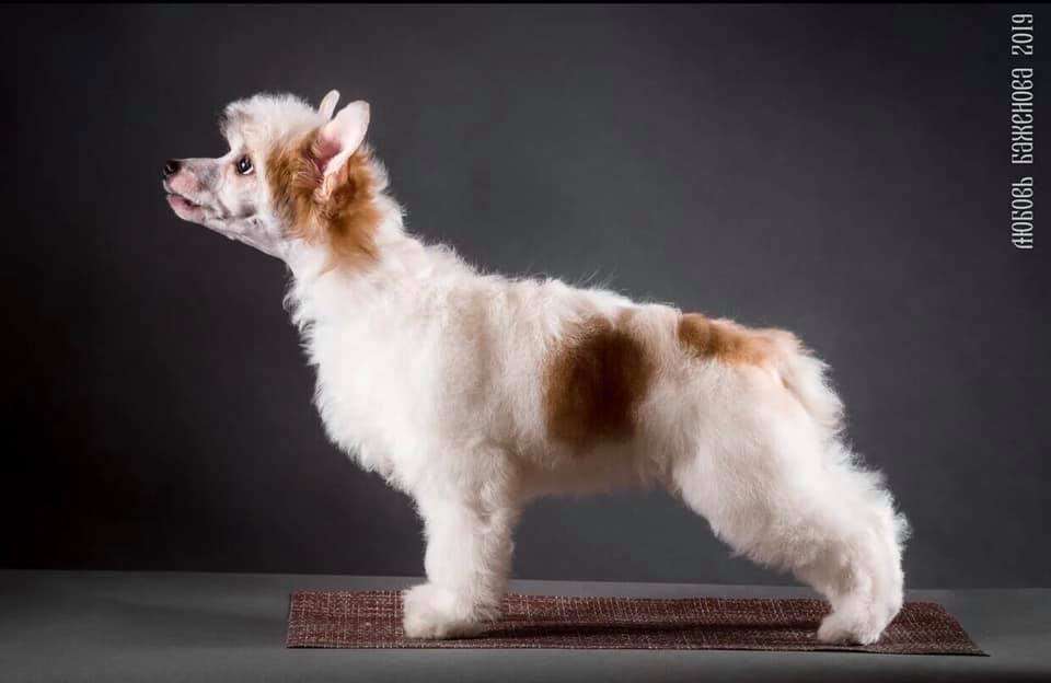 Mashama Mazi Rus Uajuza Msukumo