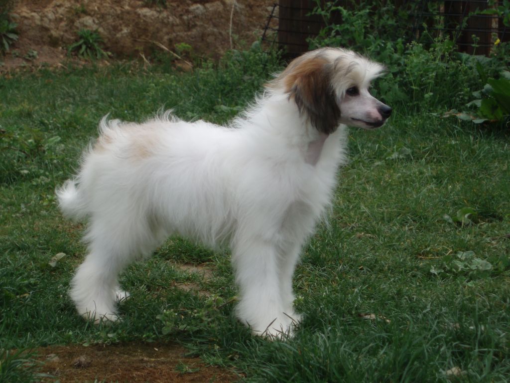 eguzki du domaine de l'hirondelle