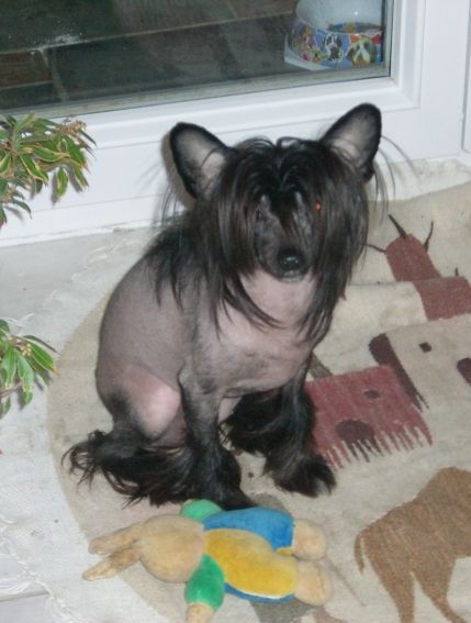 Amy Asleep z Jaromerskeho panstvi 