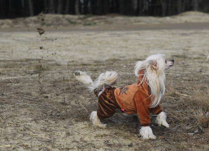 Dayhan Shik Aleksa's House