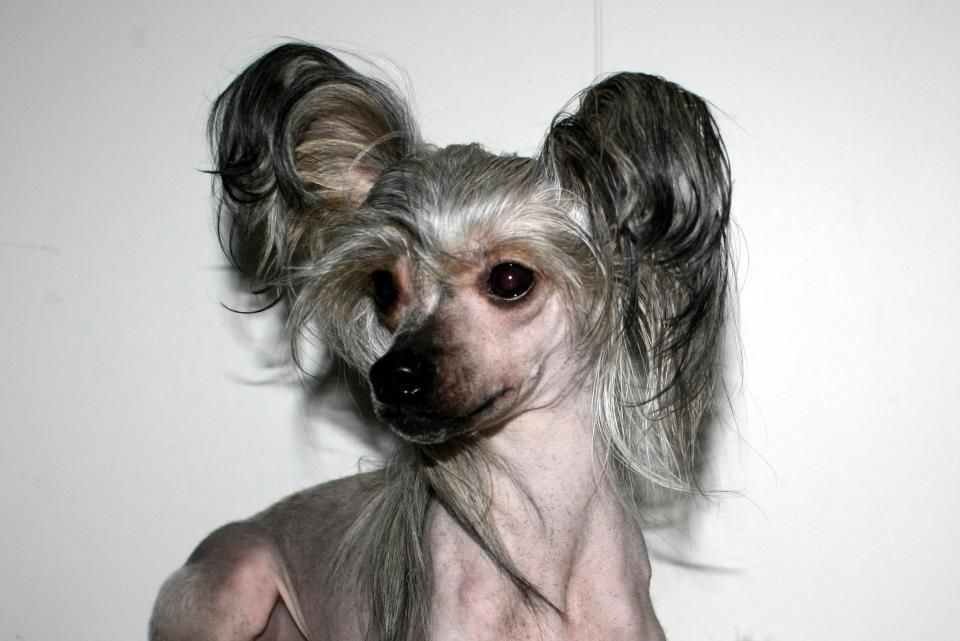 Rimabra's Show N Tell