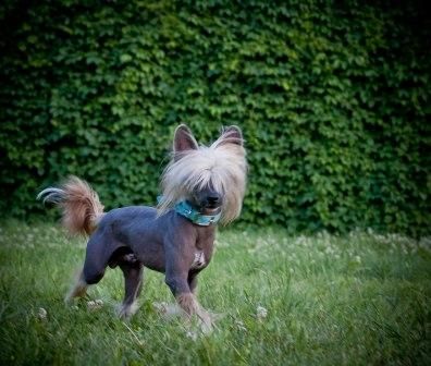 Grand Sunlife Kalvados