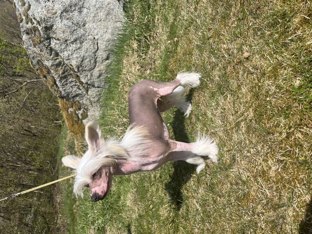 The Sound Of Silence