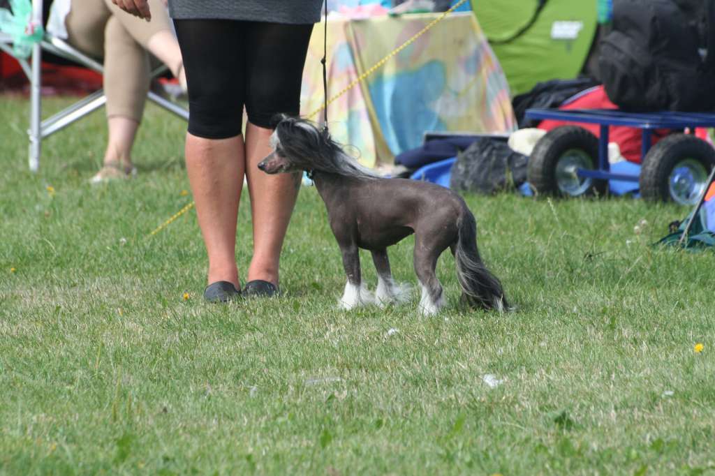 Sea Fire's Unexpeceted Gift