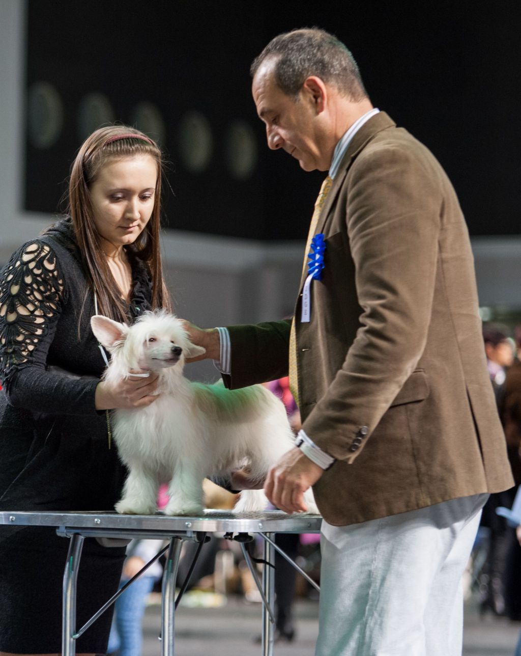 Feldeiso Blossom Dreams