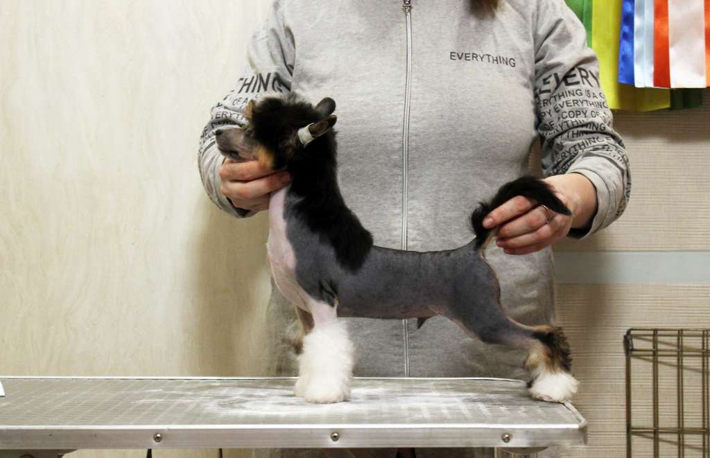 Via Della Seta Opal Black