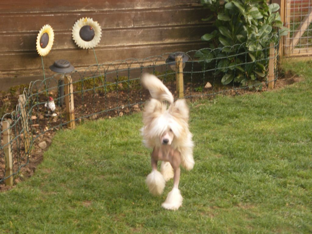 Doucai's Stunning or Wot 