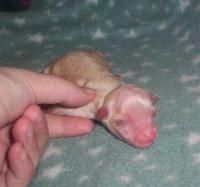 Daybreak Singin In The Rain