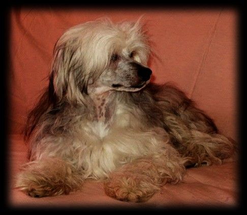 Tournais Now Or Never