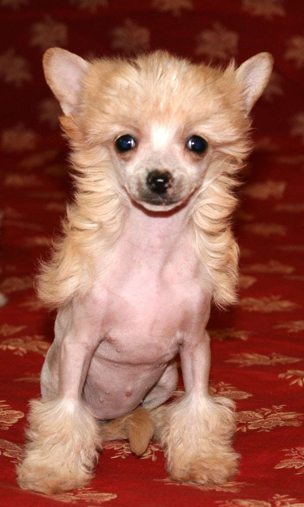 Gosh if's beautiful de Almamasan