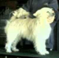 Edgeof Powderme Truly