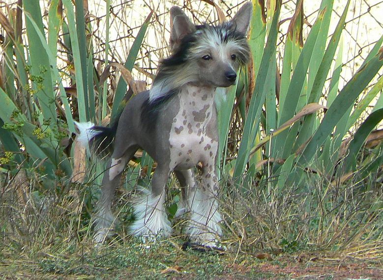 Keeper Of My Heart O'Vamos