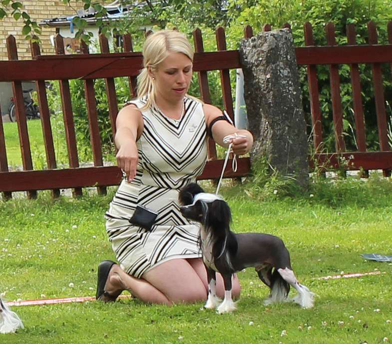 Sirocco The Real Rook N Rolla