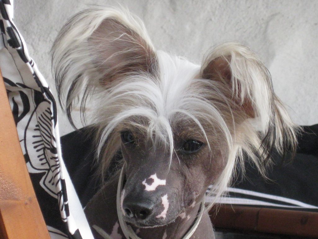 Martin Marcello Avrina