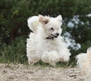 Epicurus of Angel's Legacy