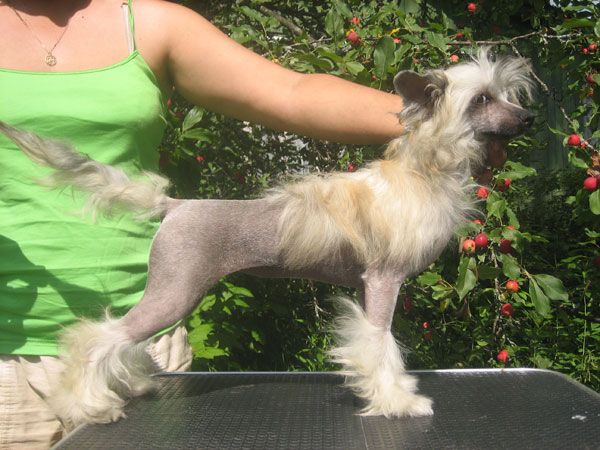 La Vendjes Yantarnaya Kapelka