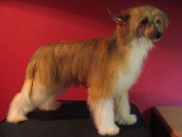 Indian Summer Pastoral