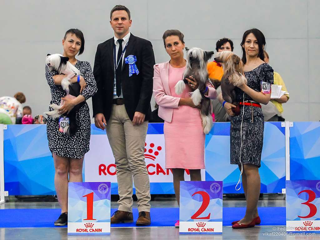 Miniatura Club Erminingeld Nepovtorimyi