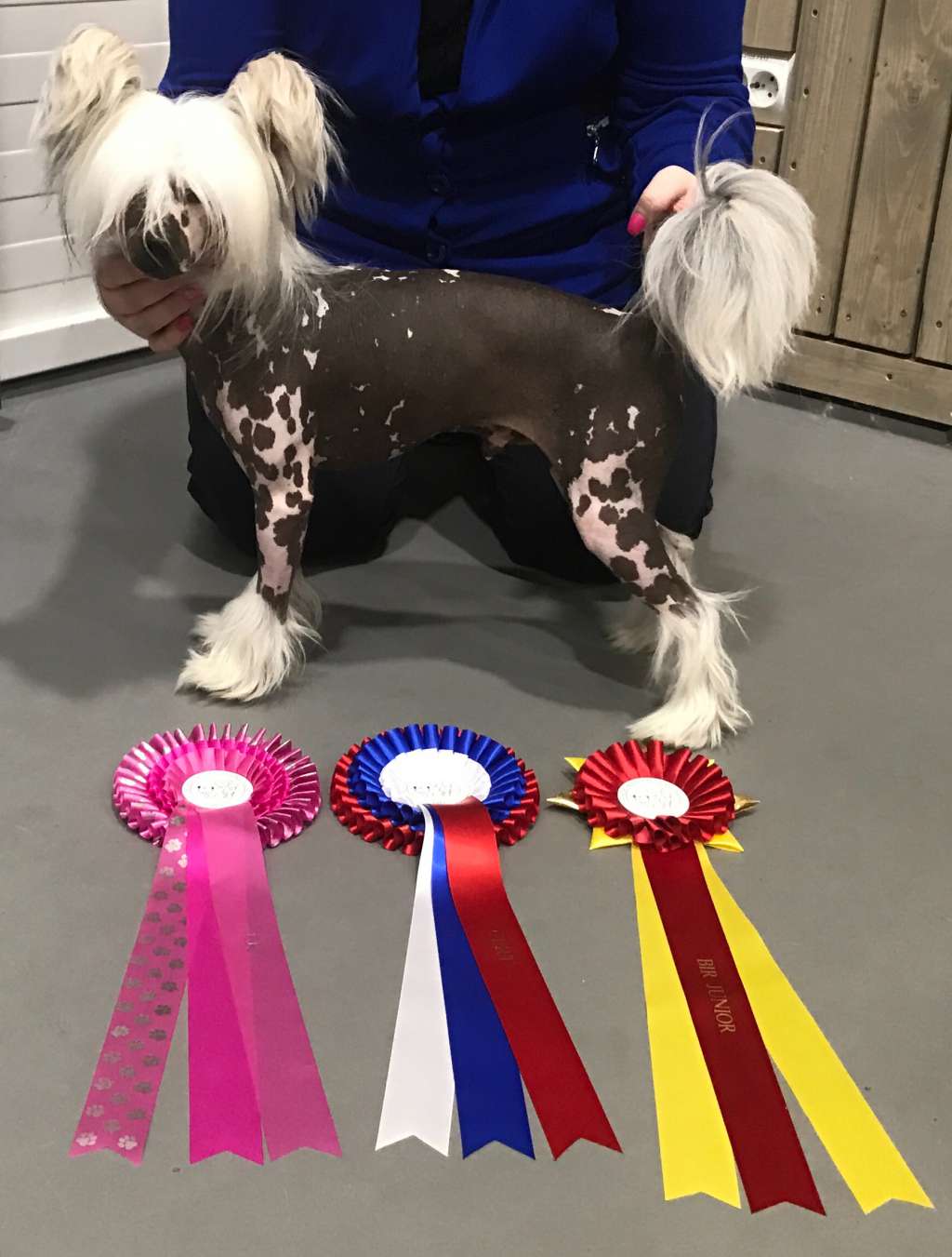 Absolute Souls Shadow Fighter