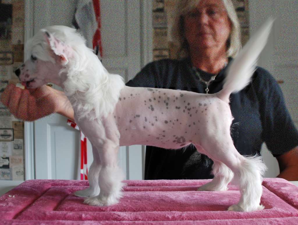 Suanho's Astounding Sekani