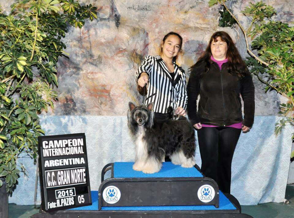 Lourdes Li Brisa de Amor