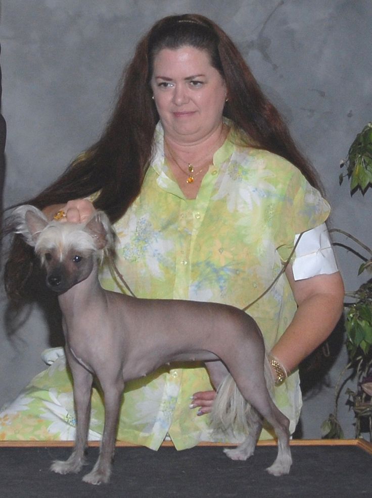 Hi-Life Jato Joule of the Sun